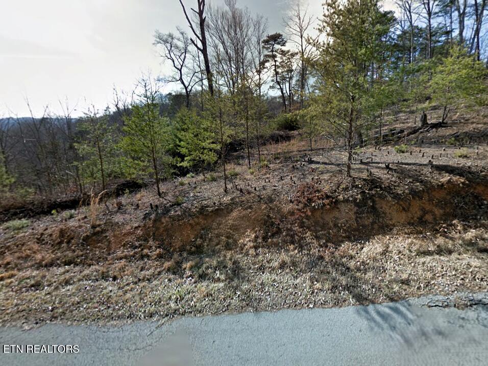 Norris Lake Real Estate - Image# 2