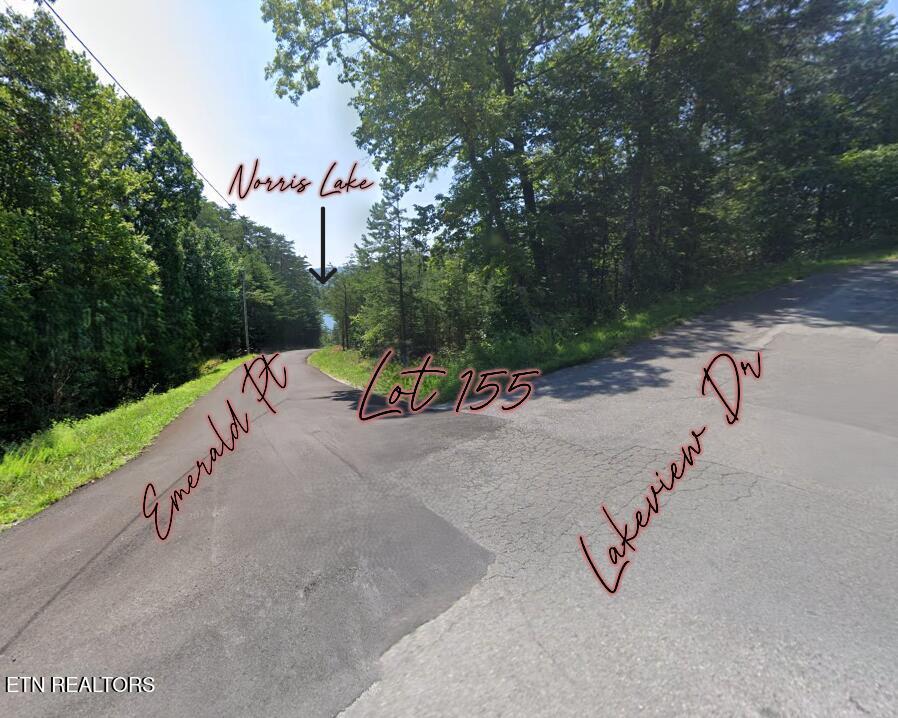 Norris Lake Real Estate - Image# 15