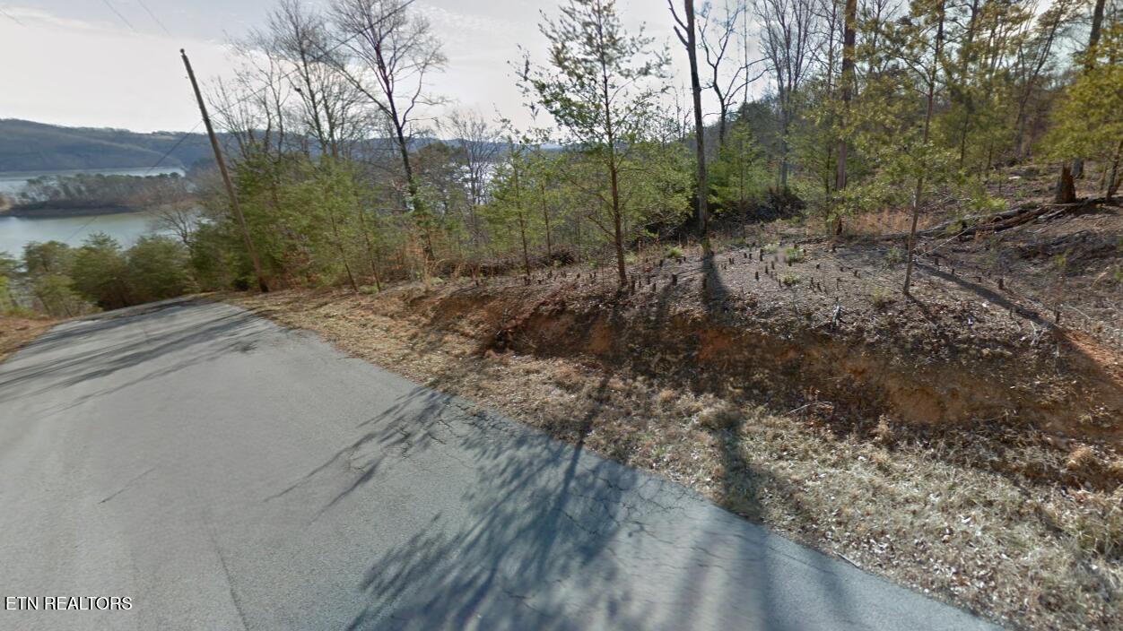 Norris Lake Real Estate - Image# 8