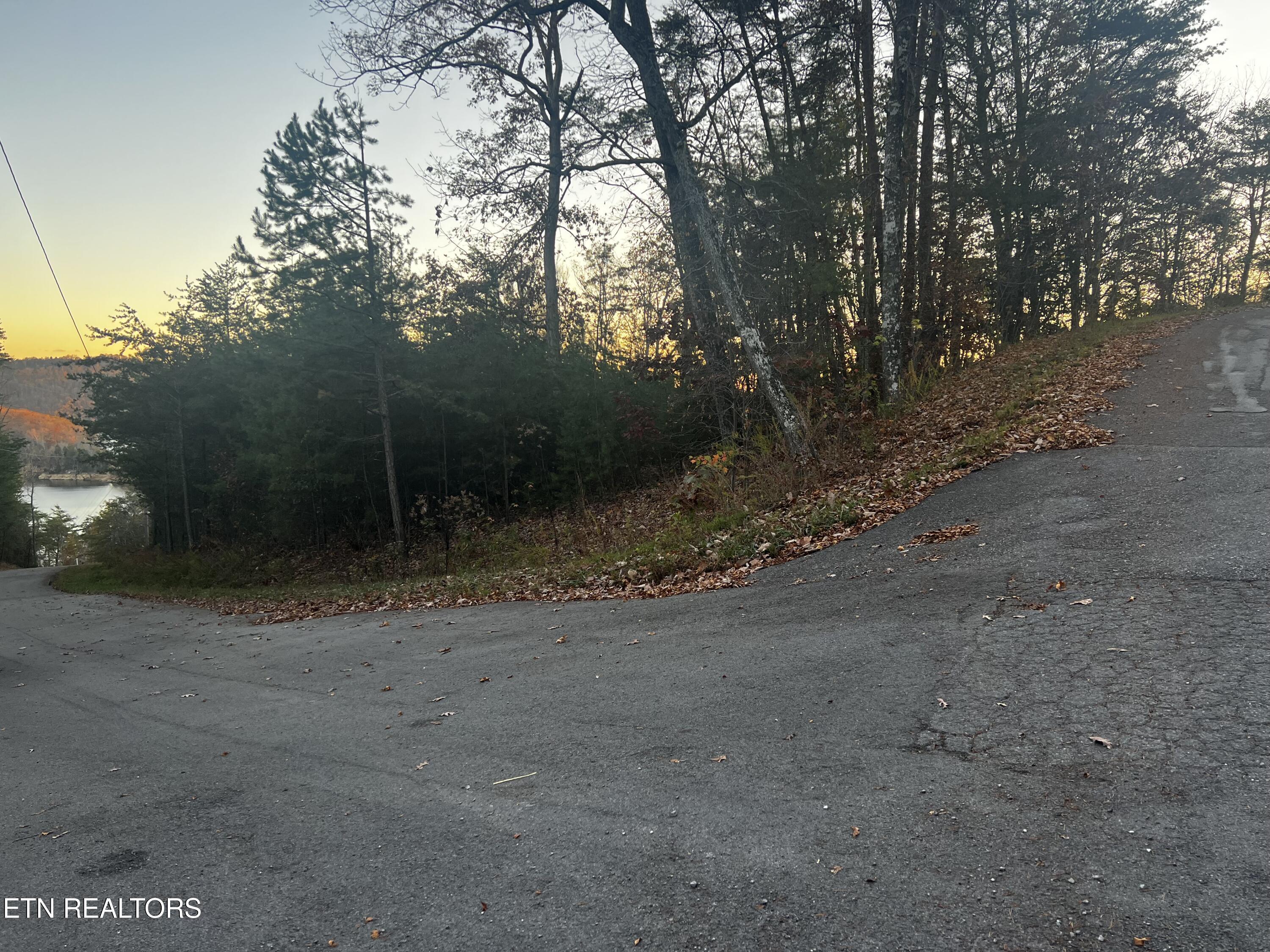 Norris Lake Real Estate - Image# 23