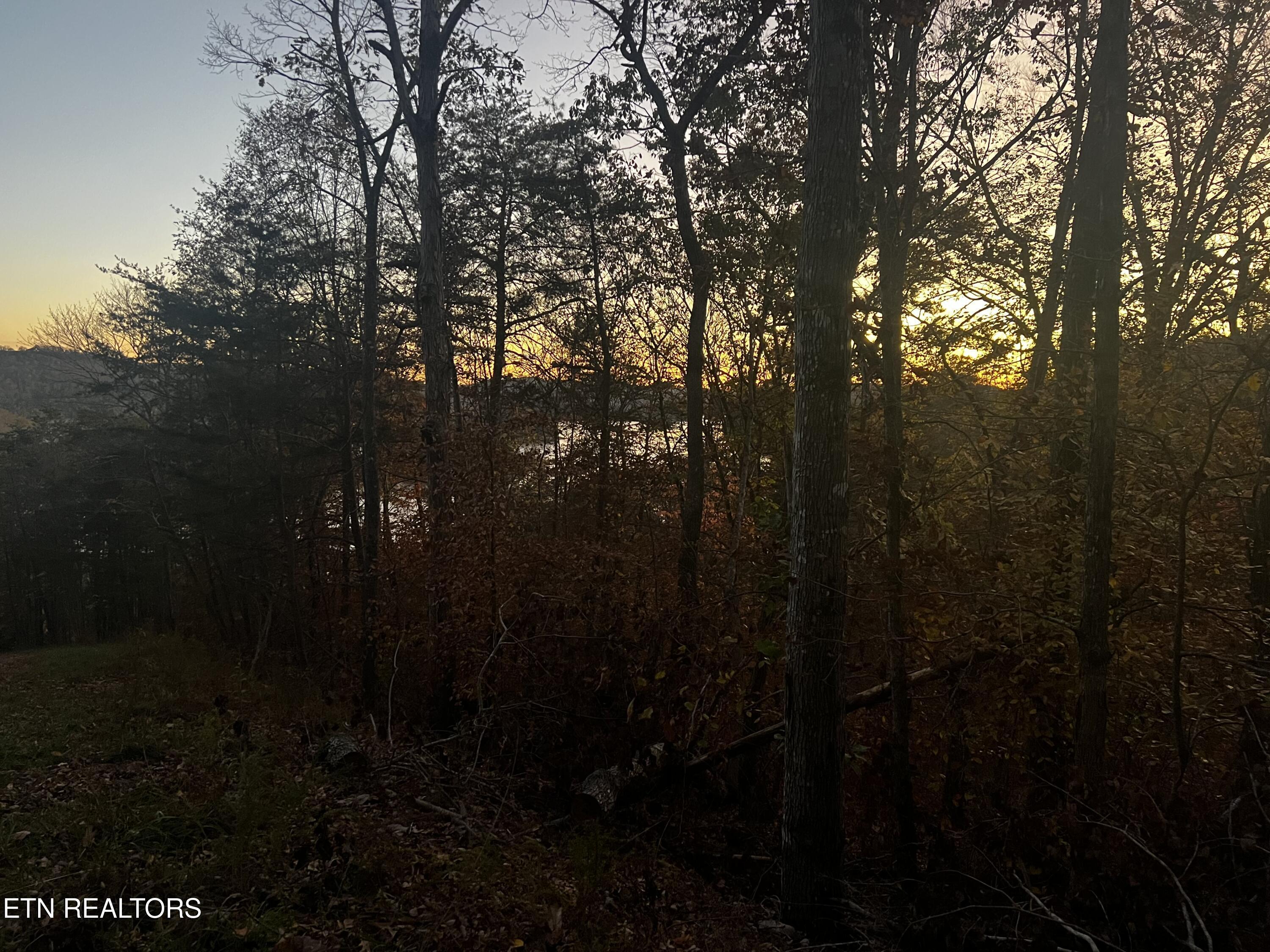 Norris Lake Real Estate - Image# 37
