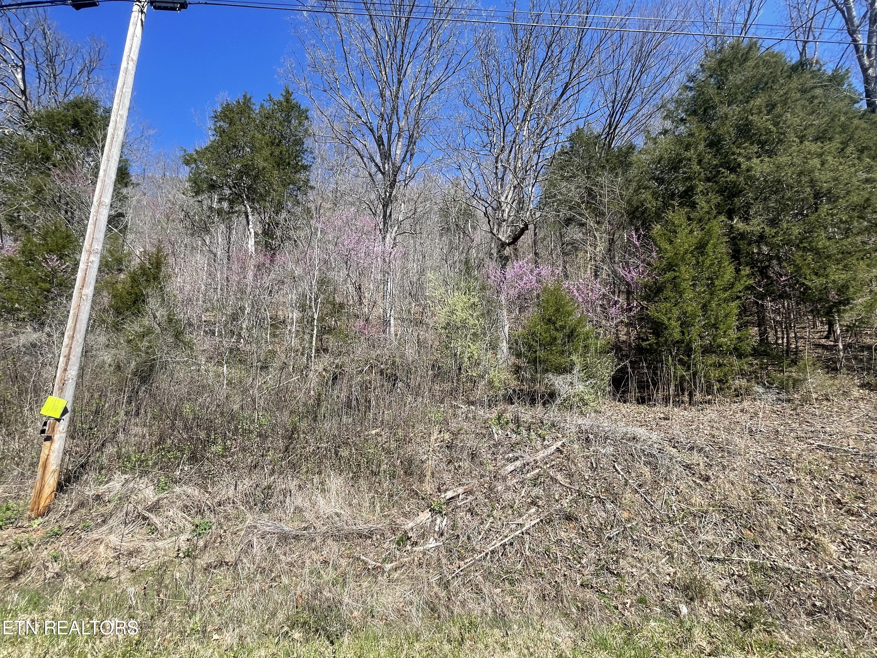 Norris Lake Real Estate - Image# 2