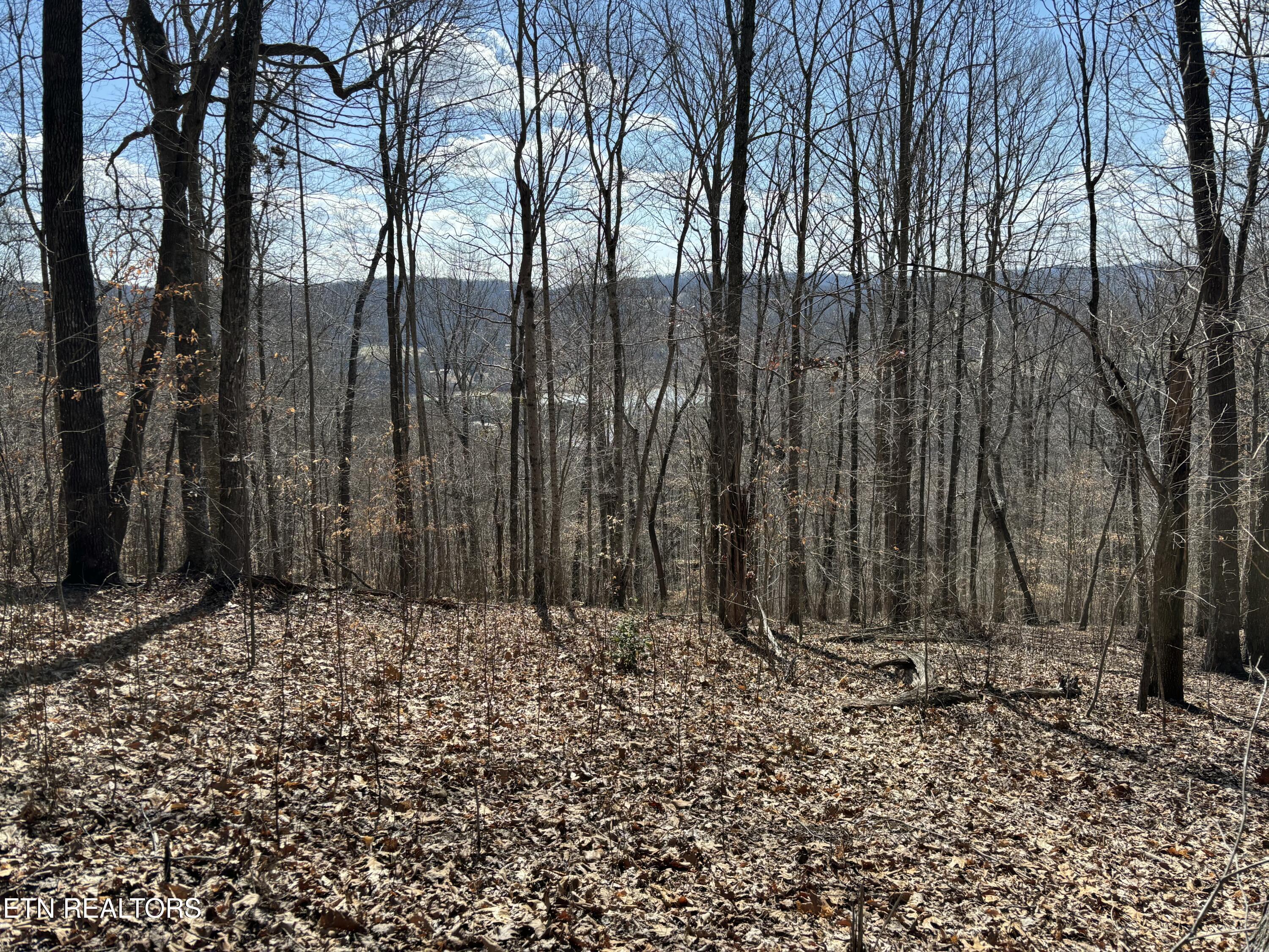 Norris Lake Real Estate - Image# 1