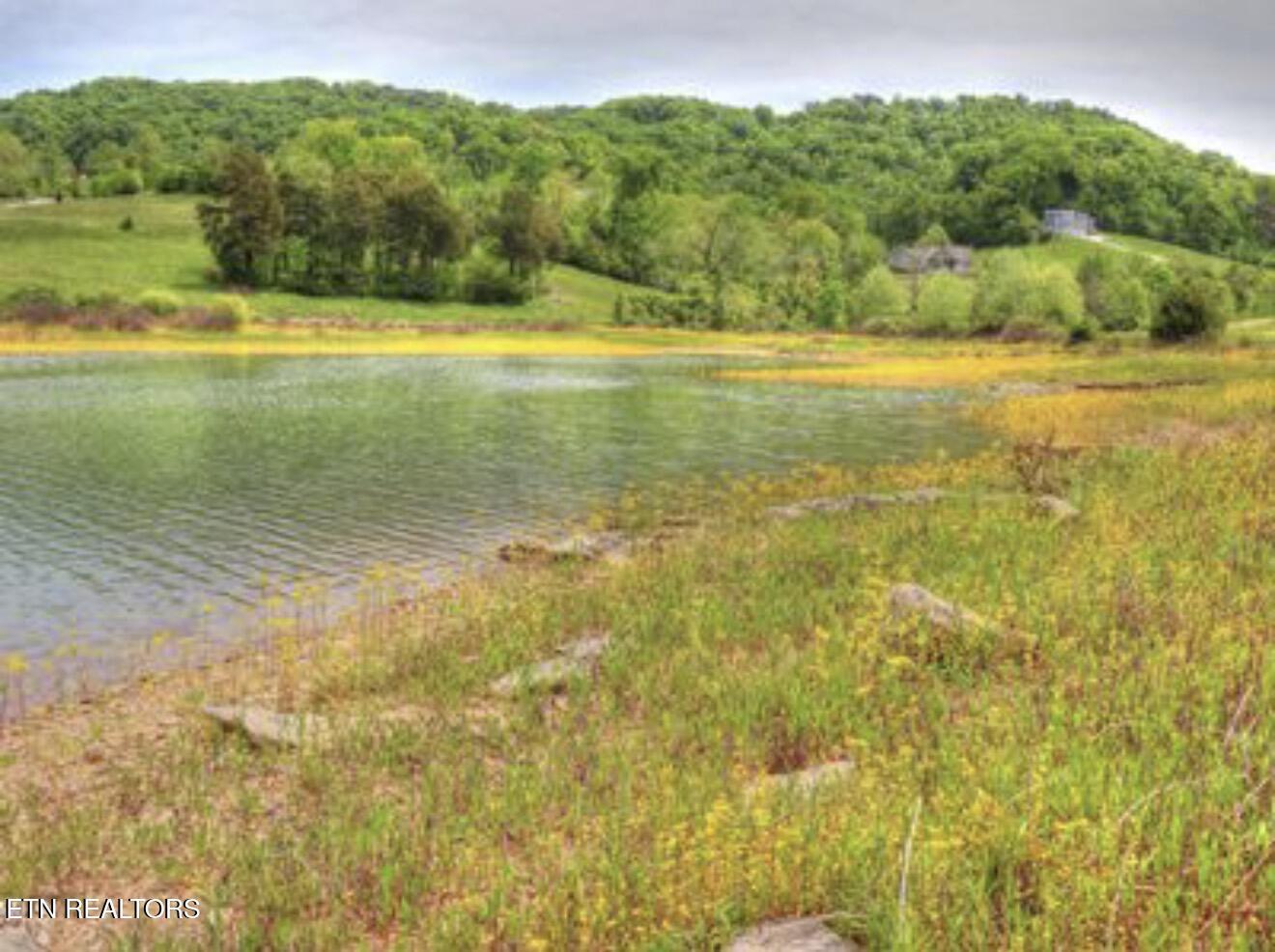 Norris Lake Real Estate - Image# 22
