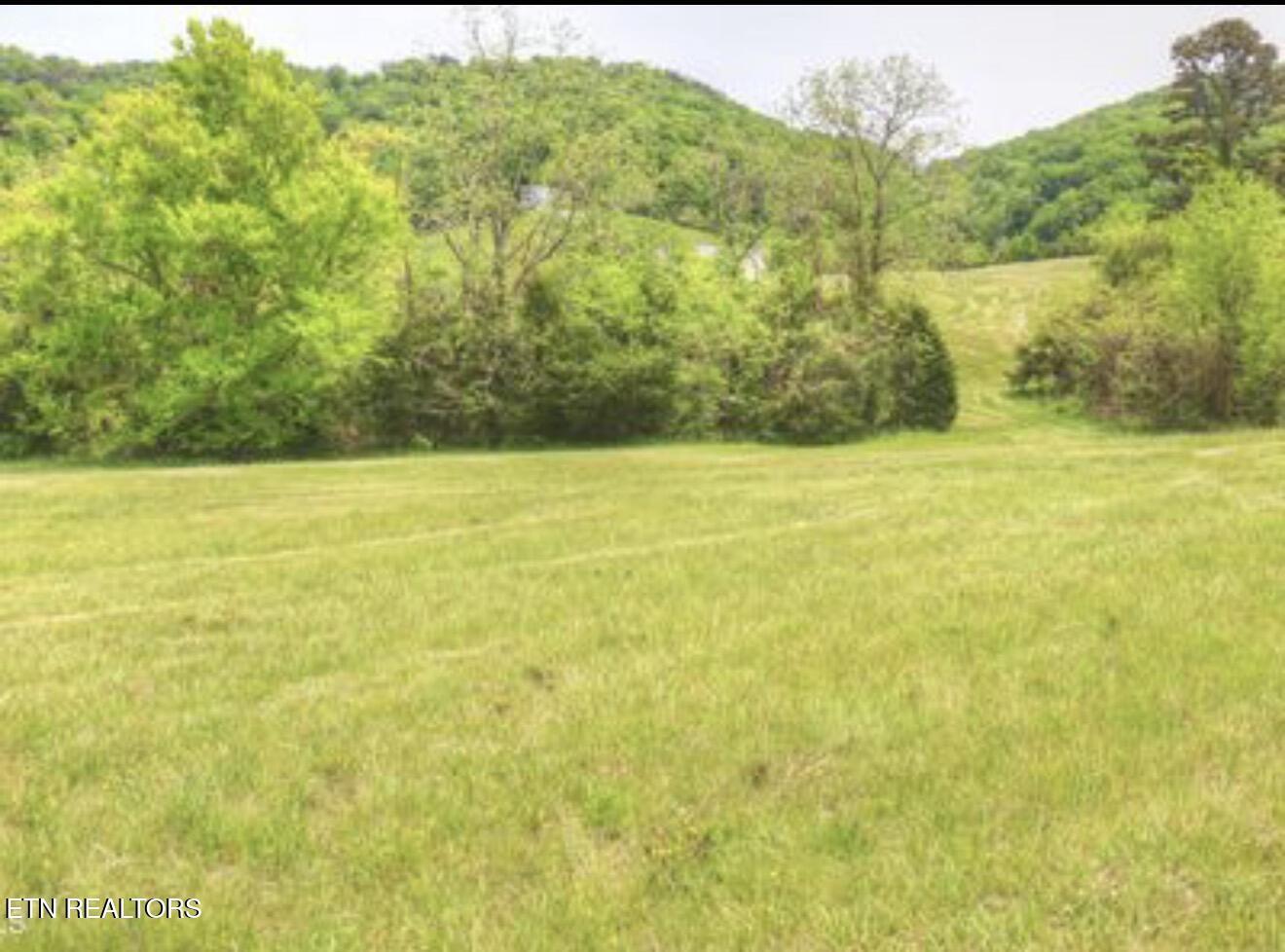 Norris Lake Real Estate - Image# 23