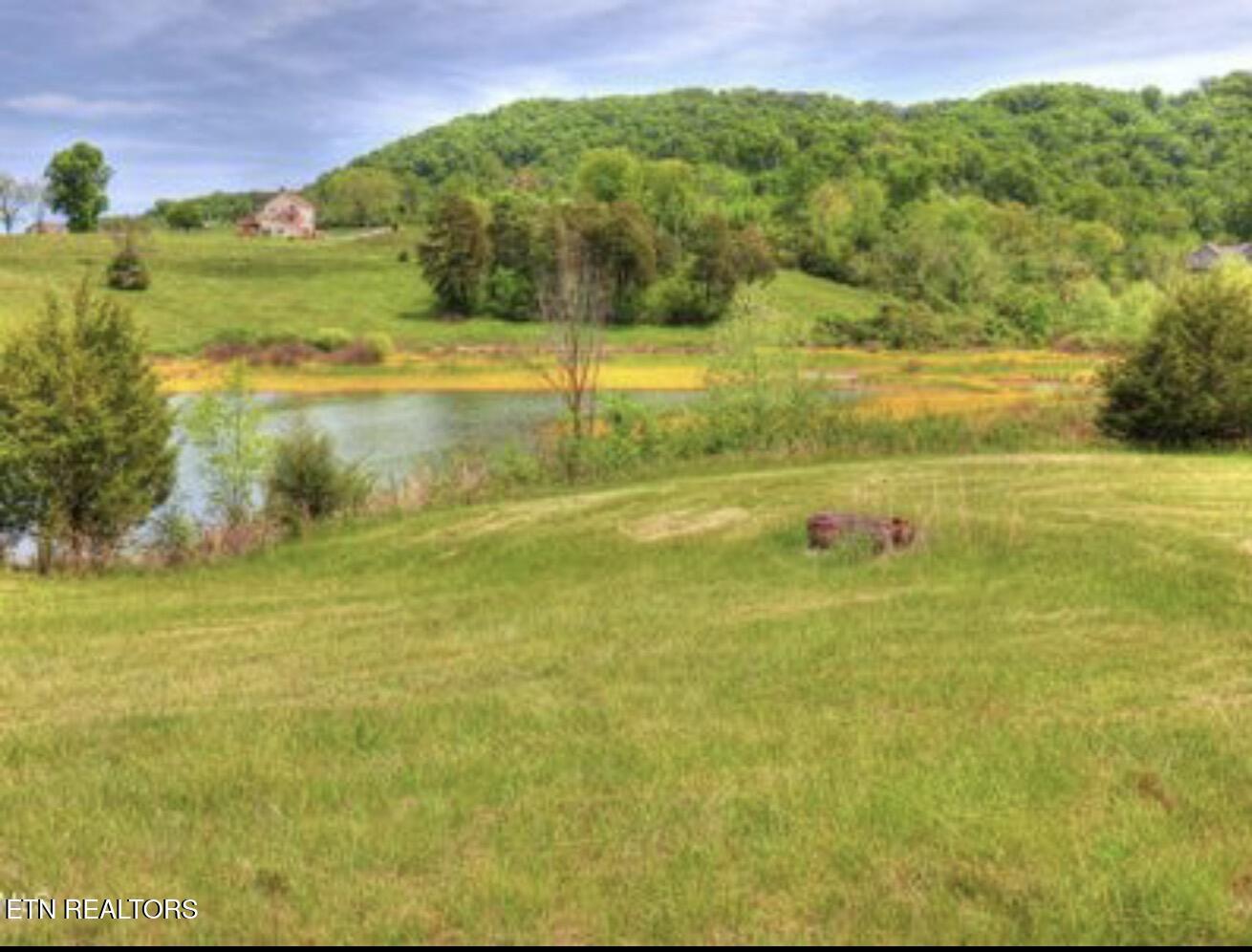 Norris Lake Real Estate - Image# 24