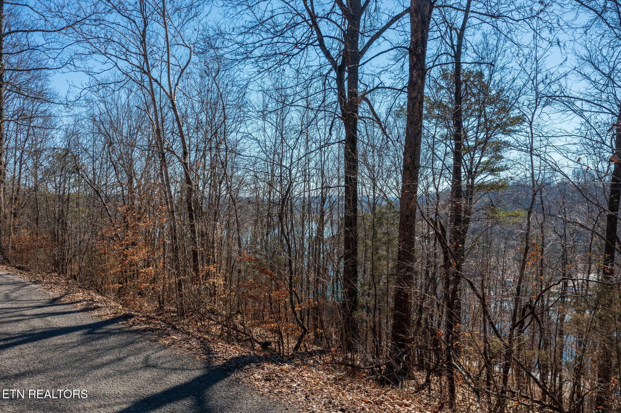 Norris Lake Real Estate - Image# 5