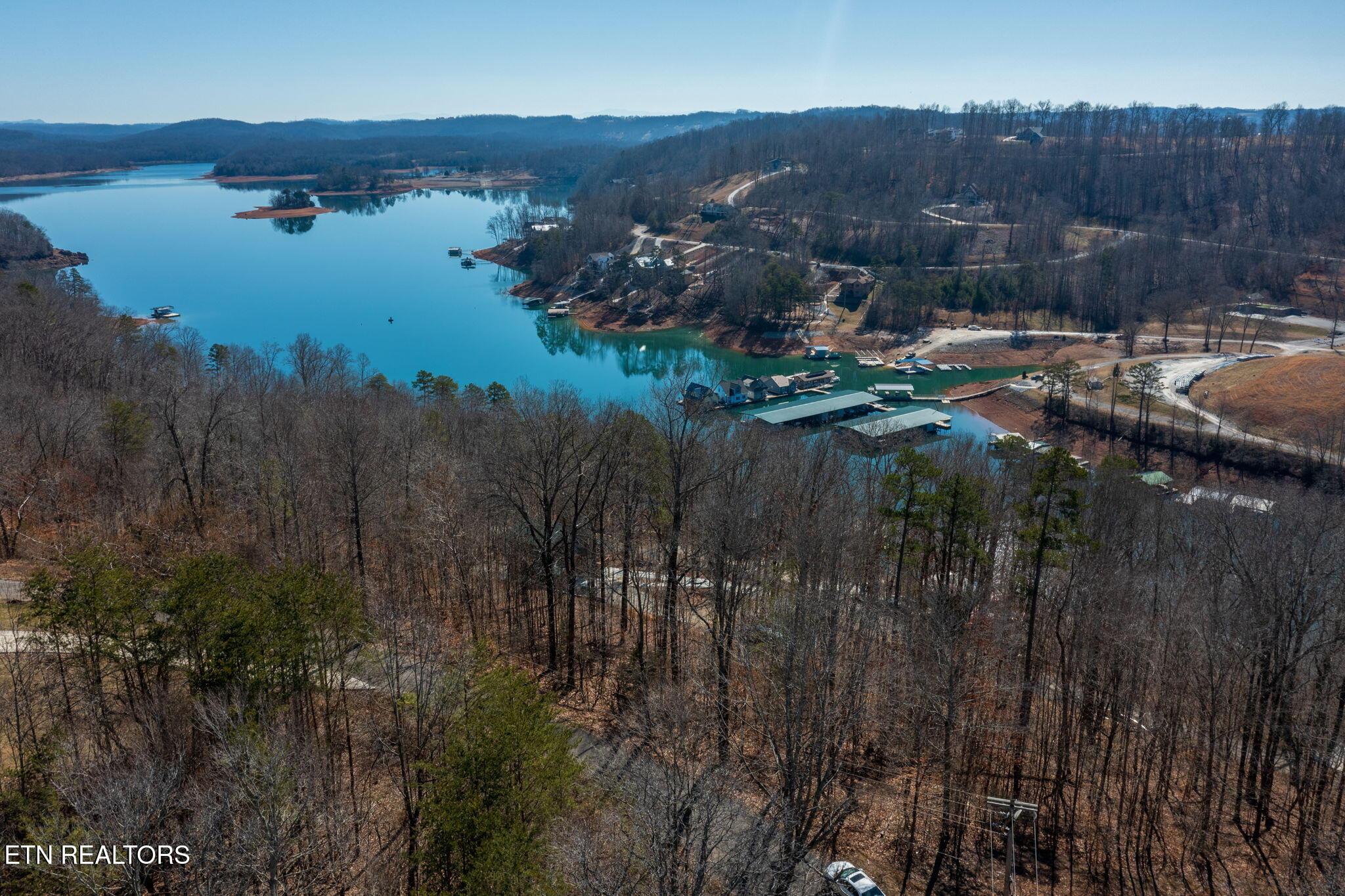 Norris Lake Real Estate - Image# 7