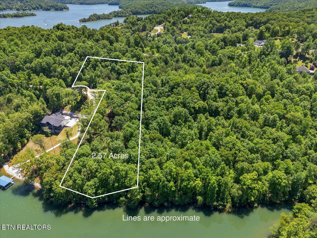 Norris Lake Real Estate - Image# 2