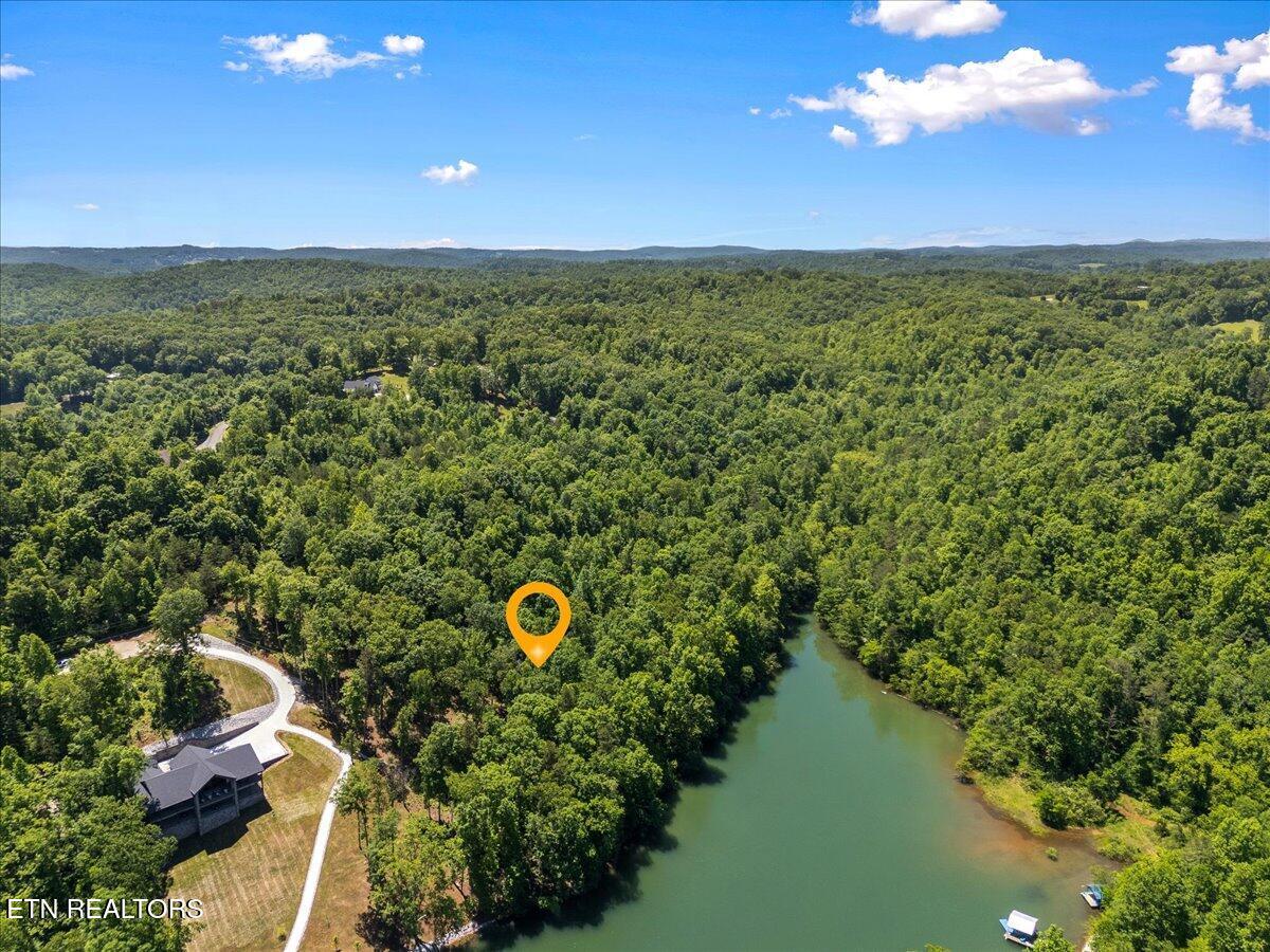 Norris Lake Real Estate - Image# 3