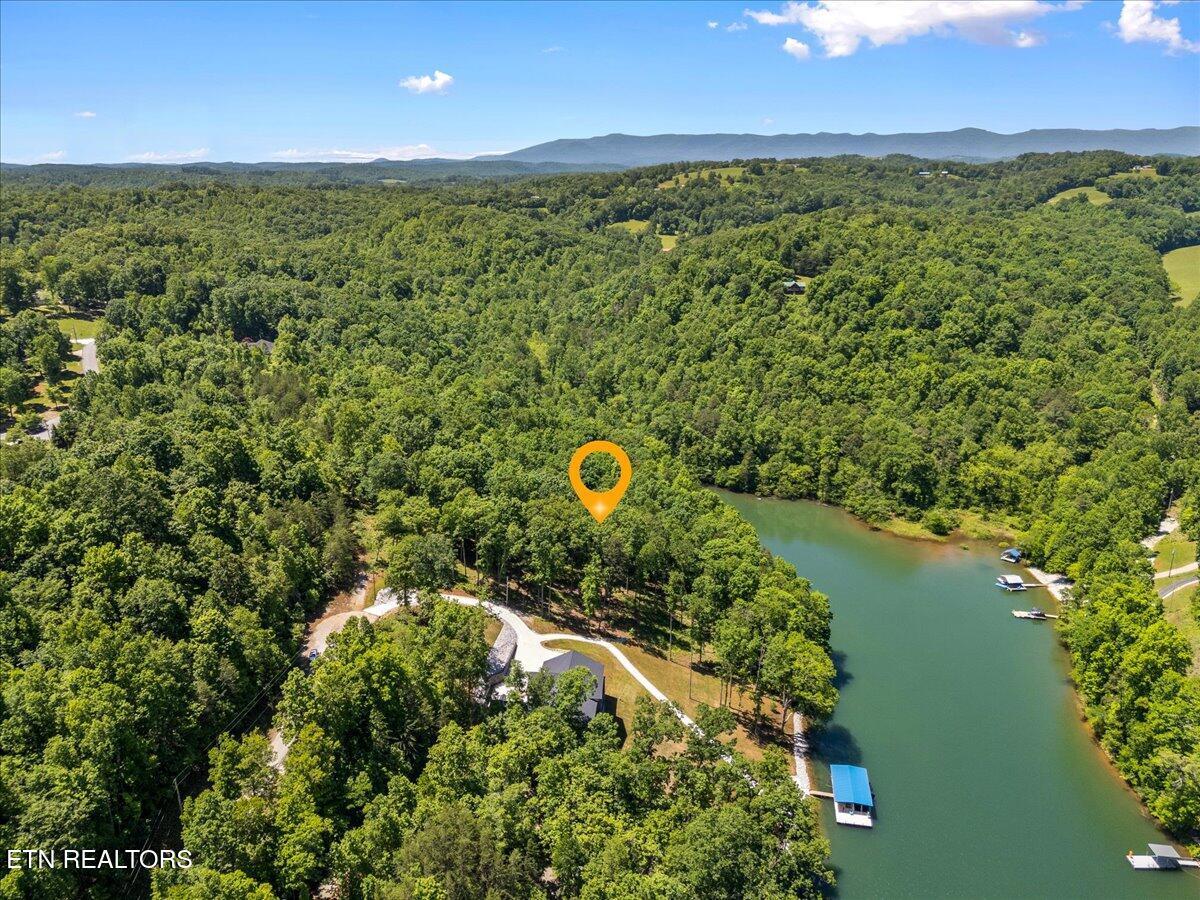 Norris Lake Real Estate - Image# 4