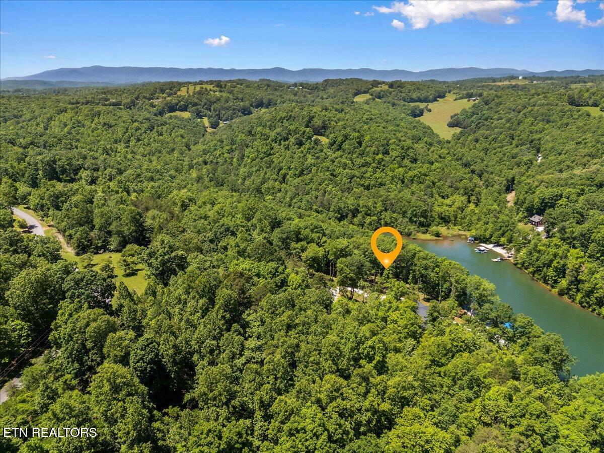 Norris Lake Real Estate - Image# 5