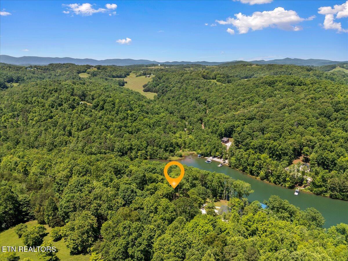 Norris Lake Real Estate - Image# 6