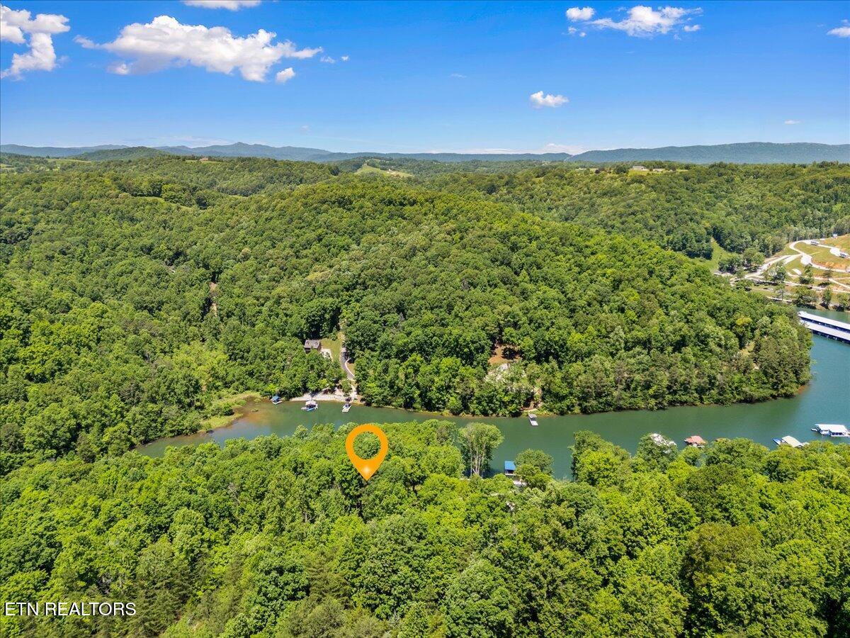 Norris Lake Real Estate - Image# 7