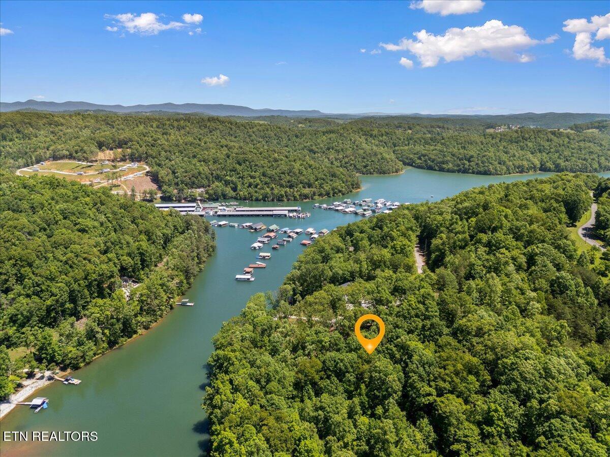 Norris Lake Real Estate - Image# 8