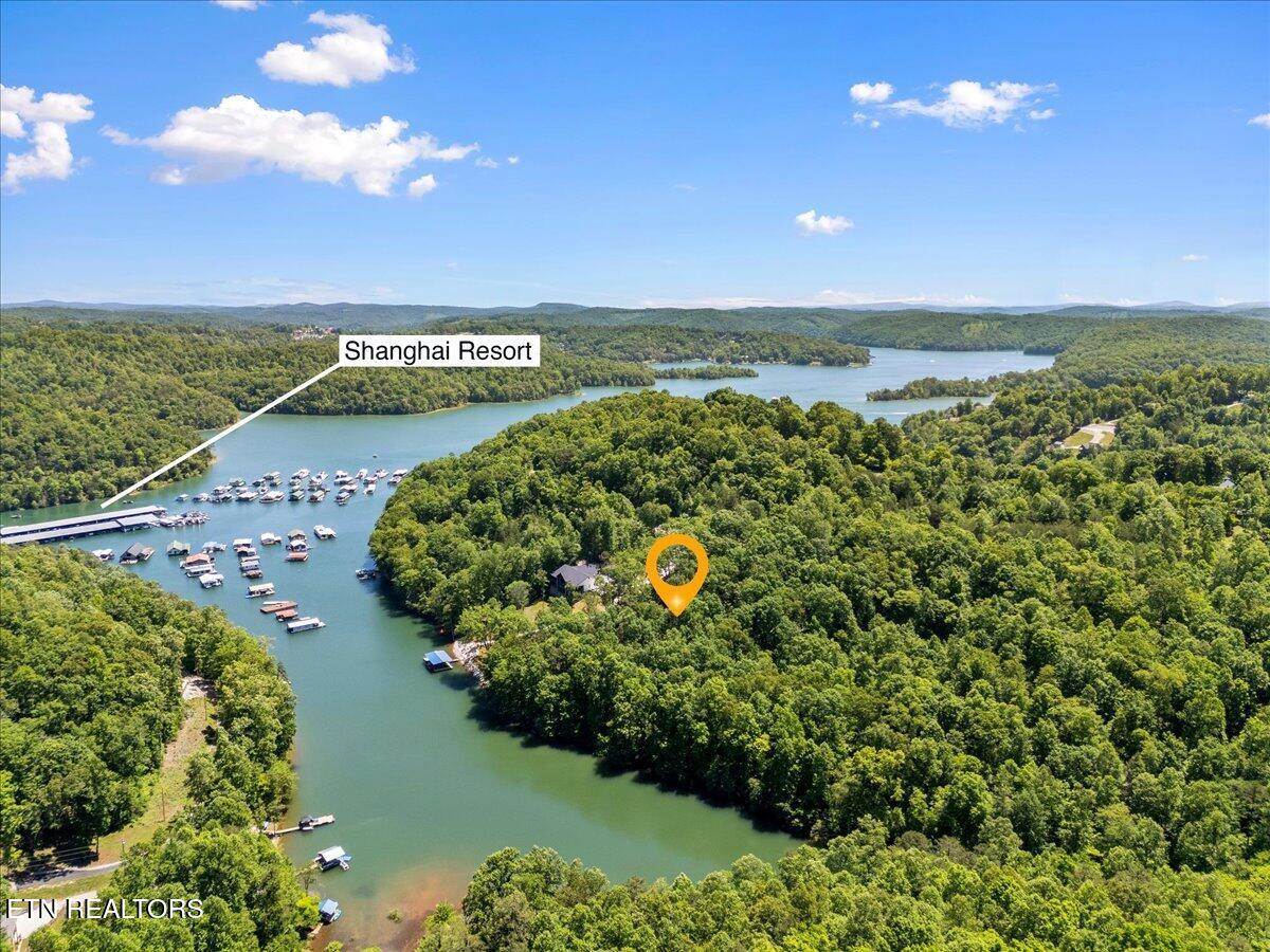 Norris Lake Real Estate - Image# 9