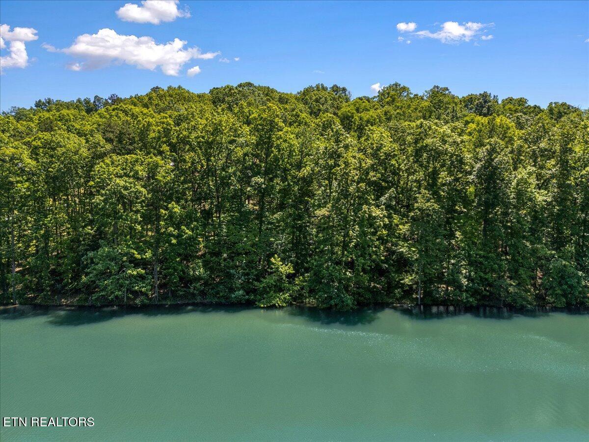 Norris Lake Real Estate - Image# 10