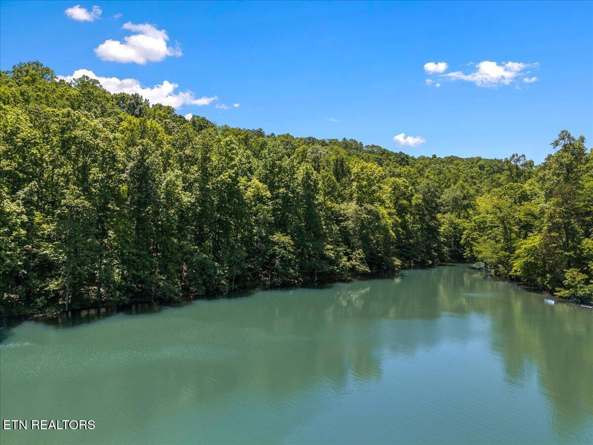 Norris Lake Real Estate - Image# 11