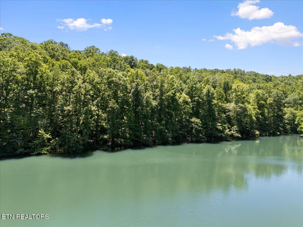 Norris Lake Real Estate - Image# 12