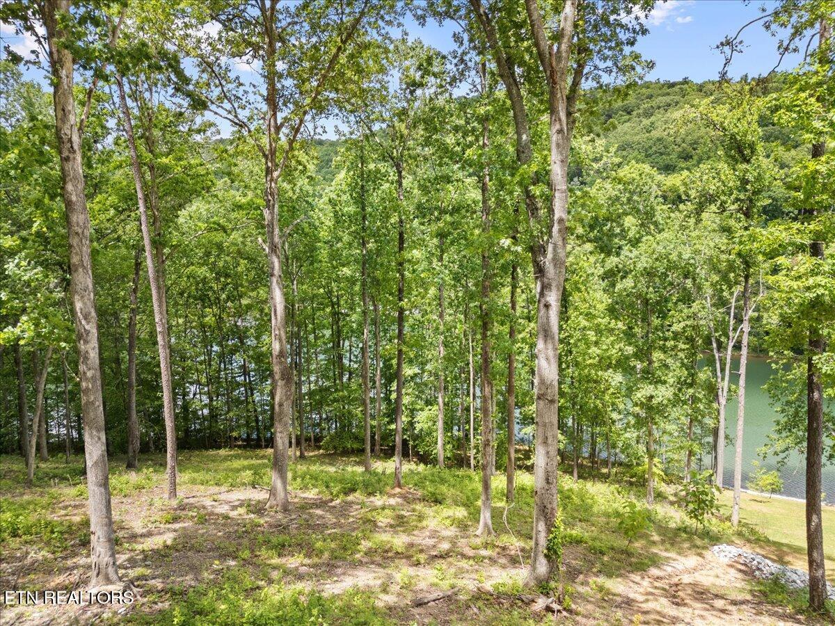 Norris Lake Real Estate - Image# 18