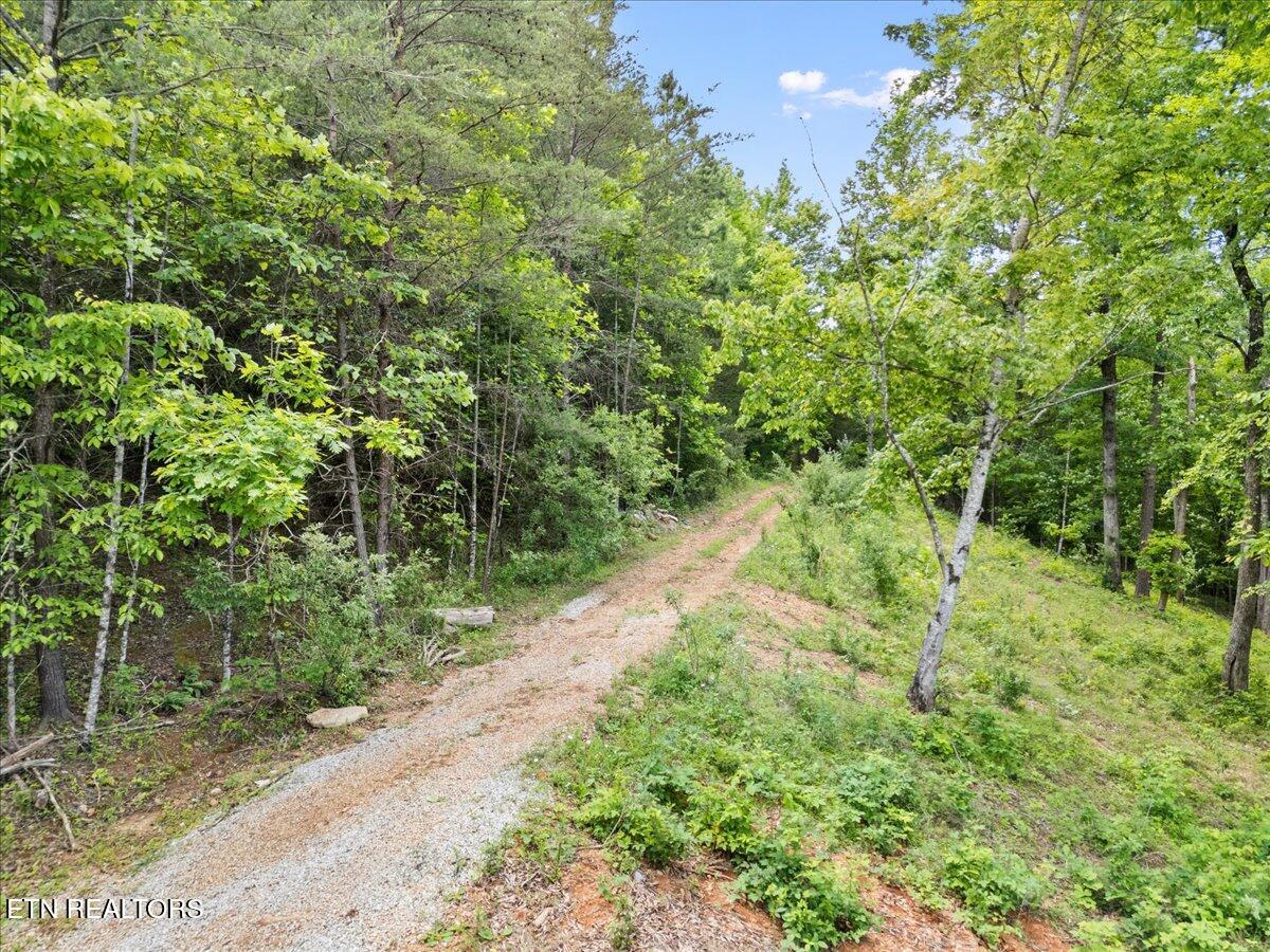 Norris Lake Real Estate - Image# 19