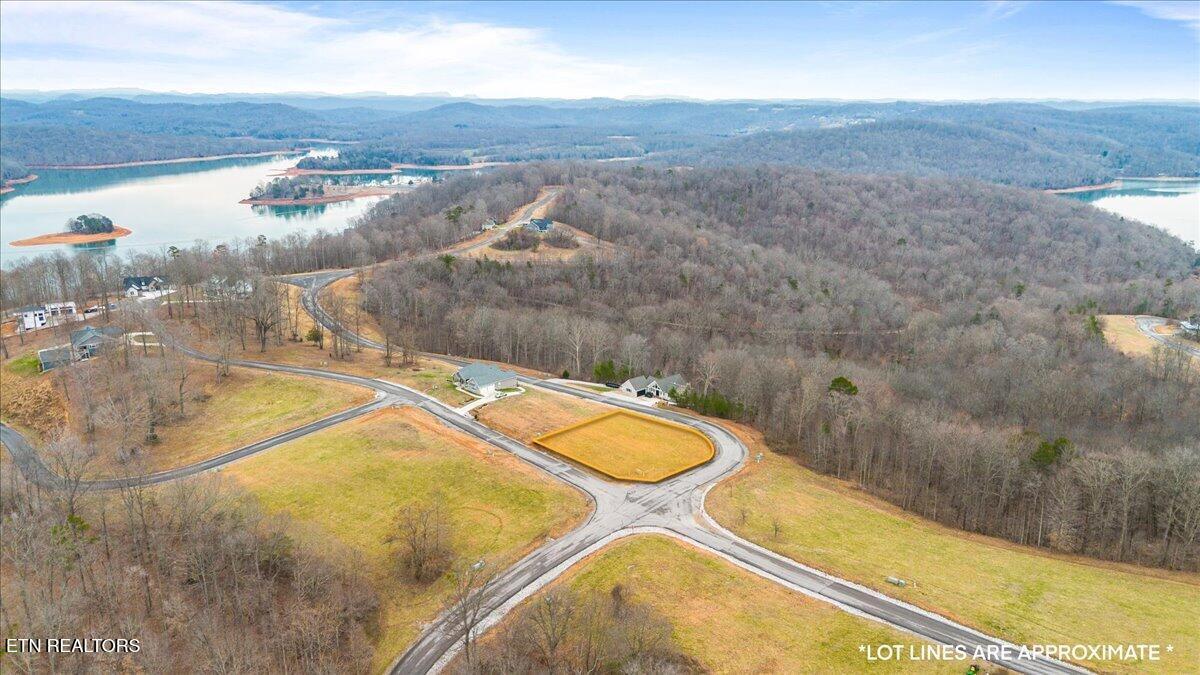 Norris Lake Real Estate - Image# 3