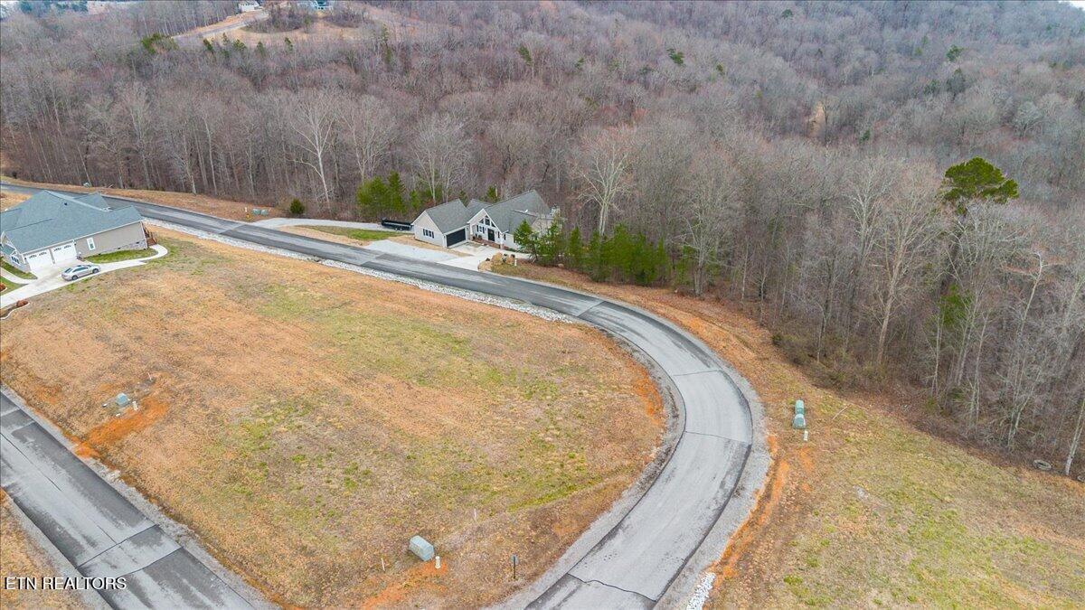 Norris Lake Real Estate - Image# 6