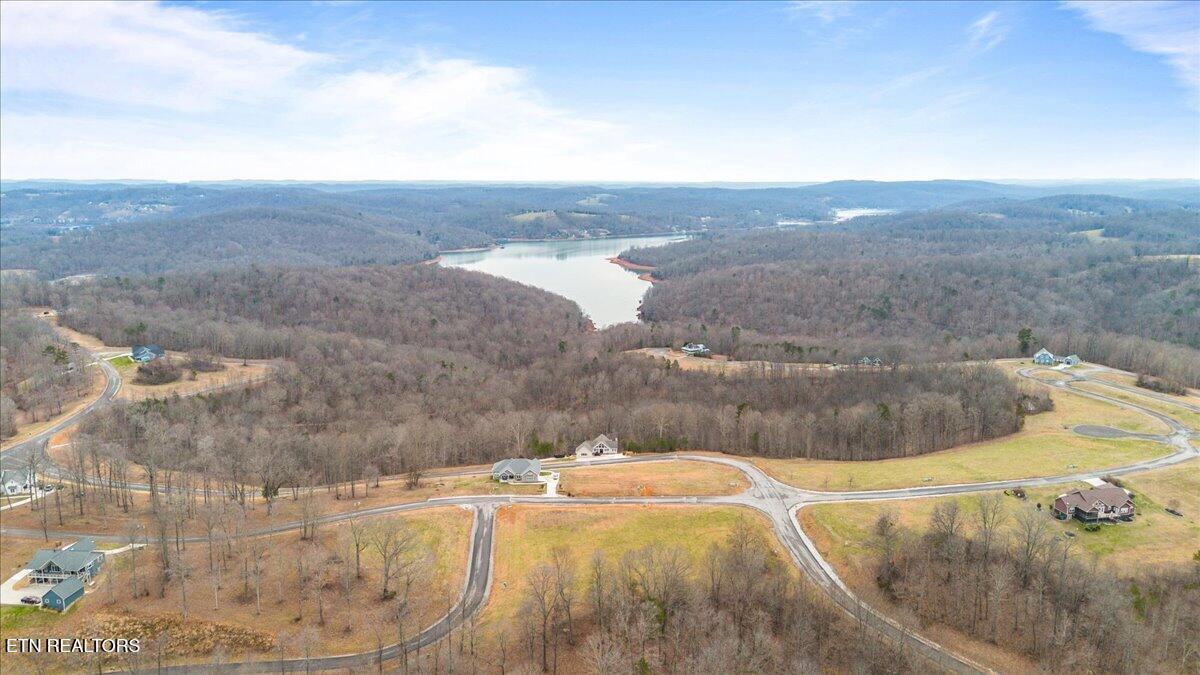 Norris Lake Real Estate - Image# 5