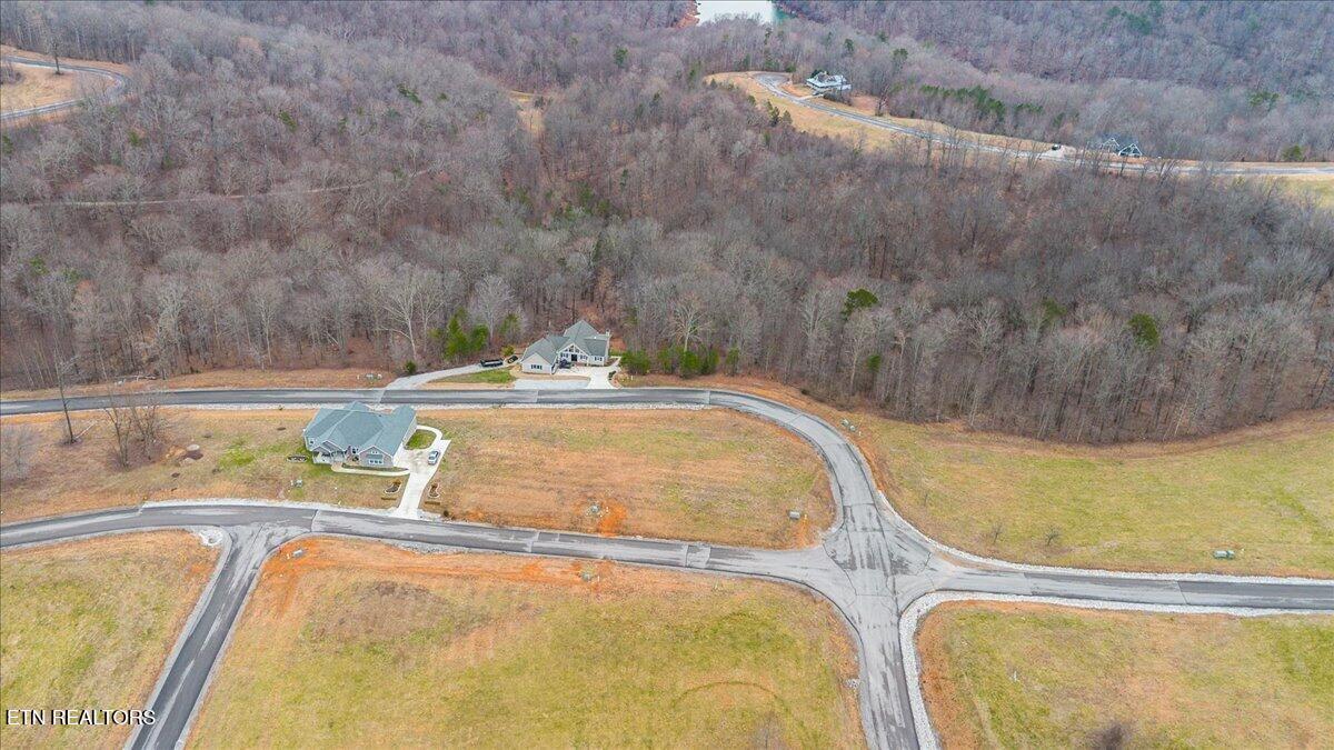 Norris Lake Real Estate - Image# 7