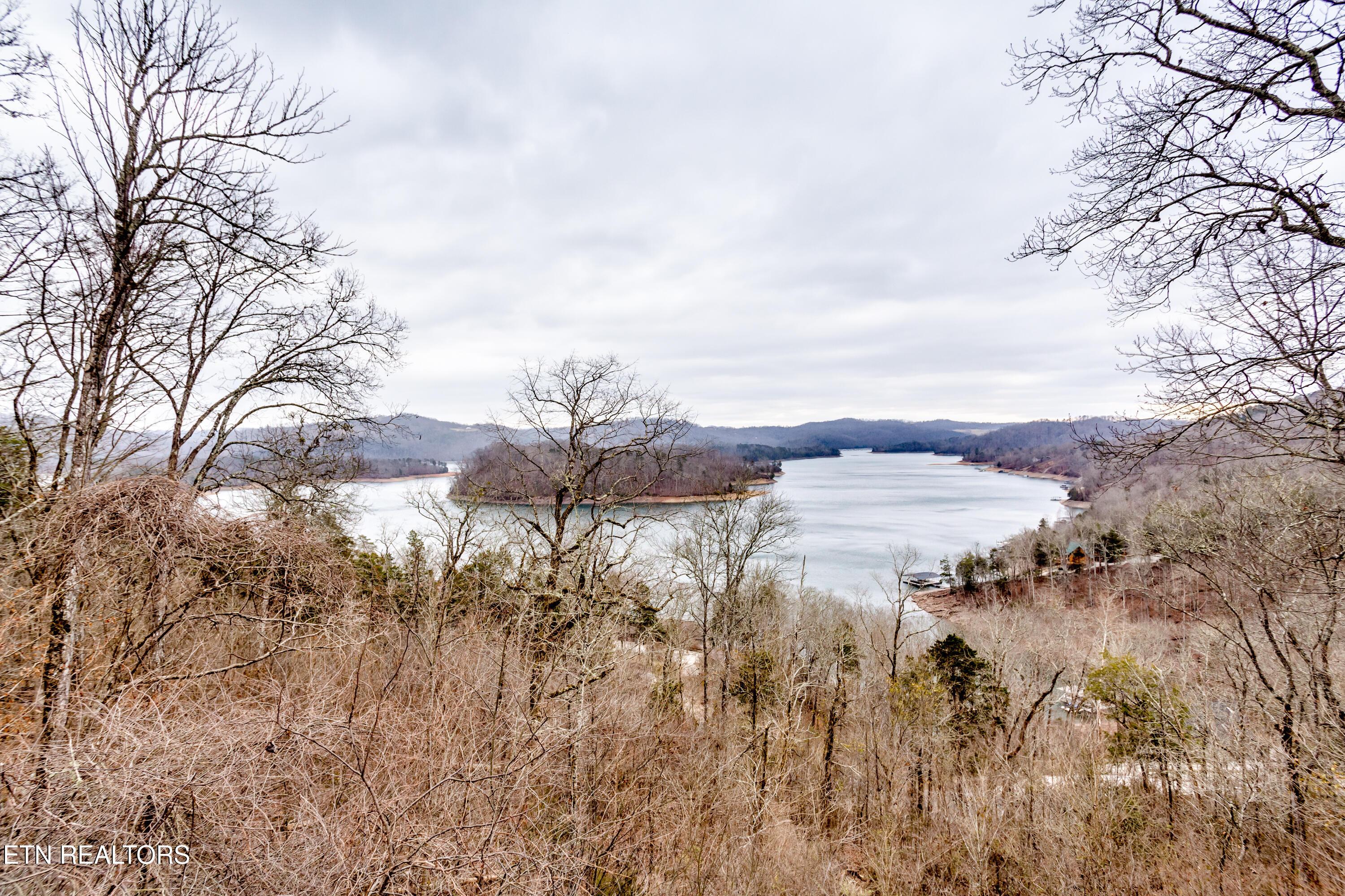 100 Orange Way, Sharps Chapel, TN - Norris Lake Real Estate - Image# 19