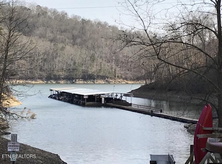 100 Orange Way, Sharps Chapel, TN - Norris Lake Real Estate - Image# 43