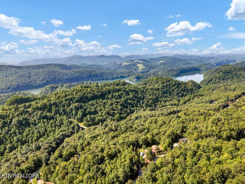 Norris Lake Real Estate - Image# 1