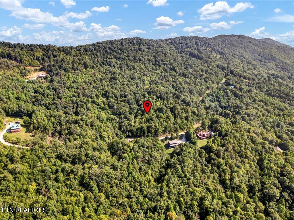 Norris Lake Real Estate - Image# 12