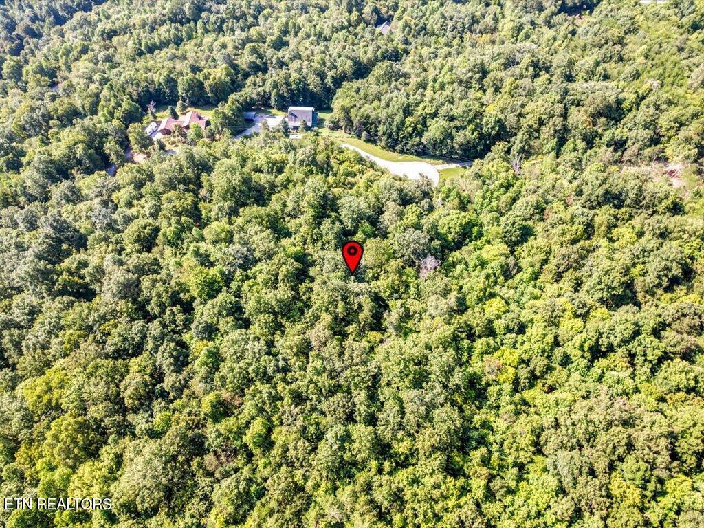 Norris Lake Real Estate - Image# 18