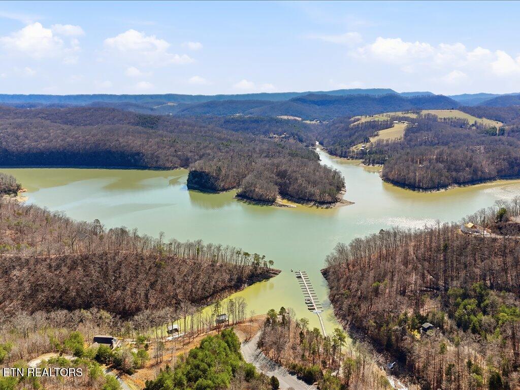 Norris Lake Real Estate - Image# 1