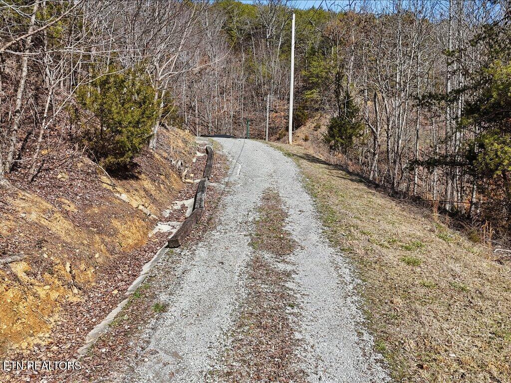 Norris Lake Real Estate - Image# 2