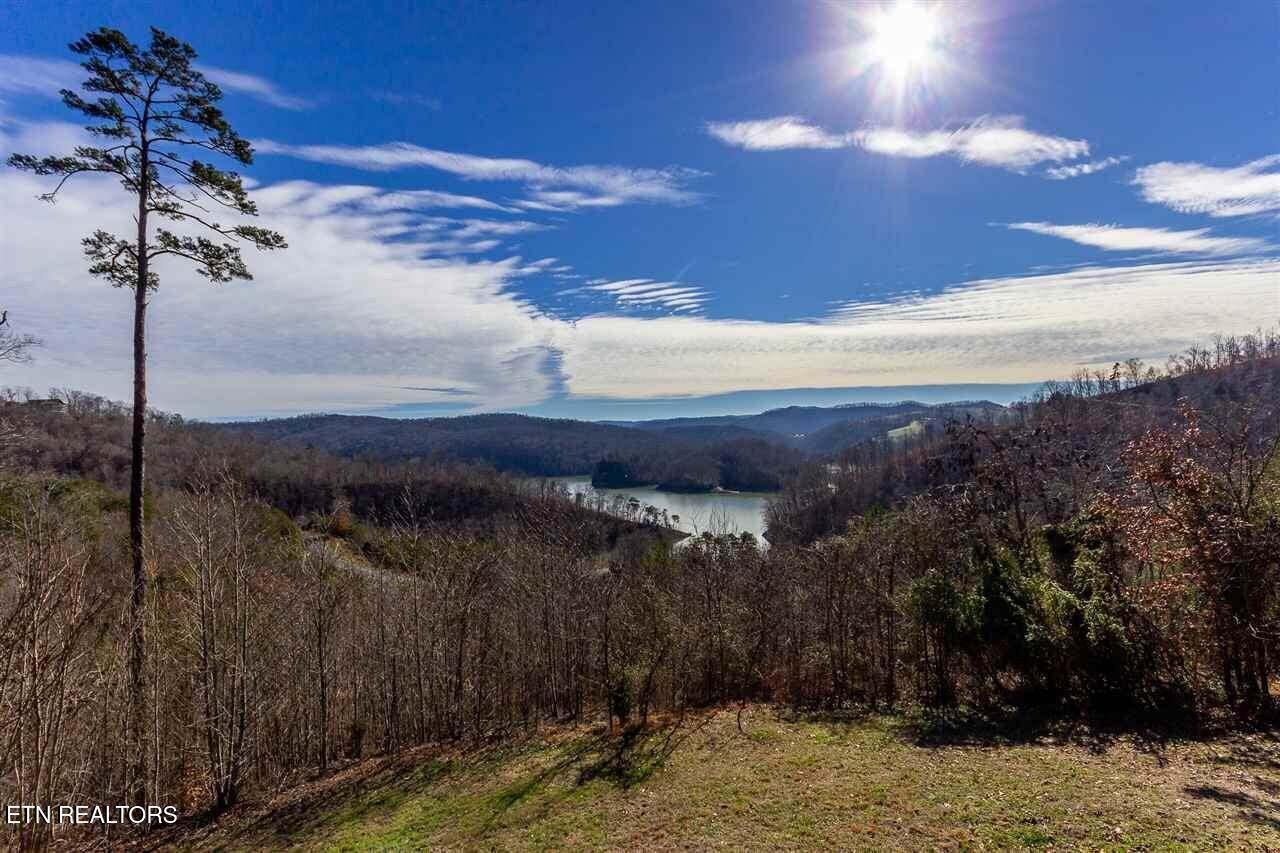 Norris Lake Real Estate - Image# 4