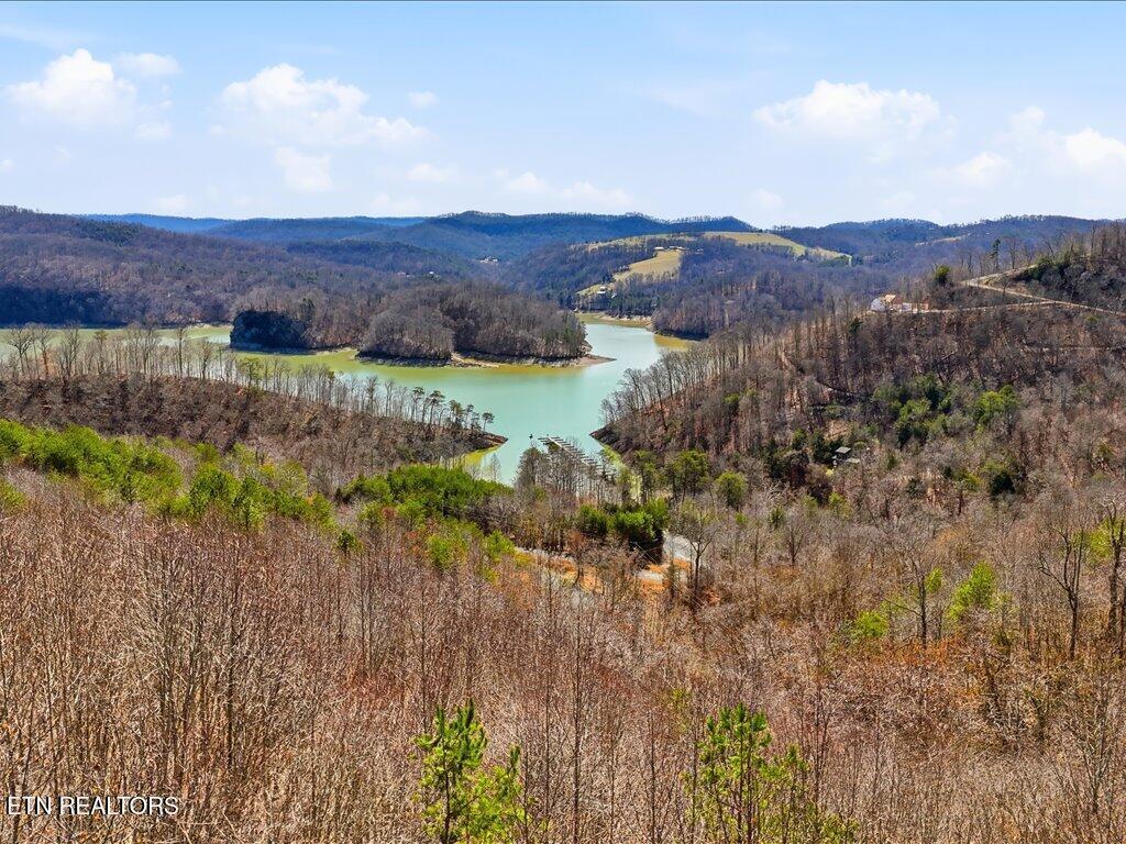 Norris Lake Real Estate - Image# 5