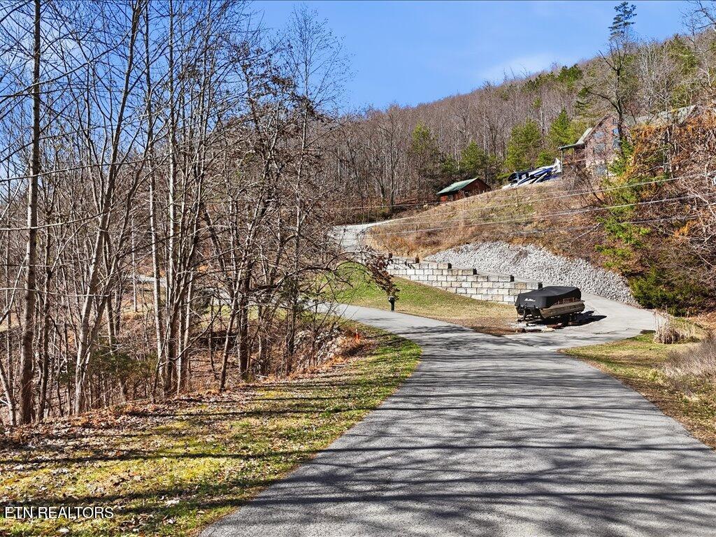 Norris Lake Real Estate - Image# 7