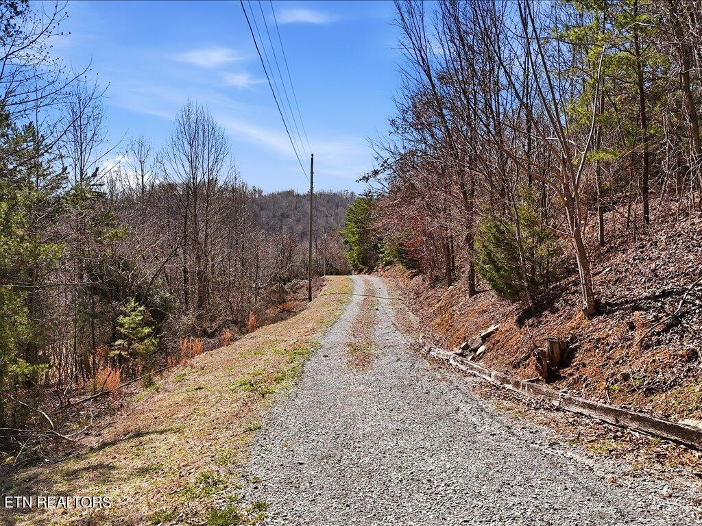 Norris Lake Real Estate - Image# 9