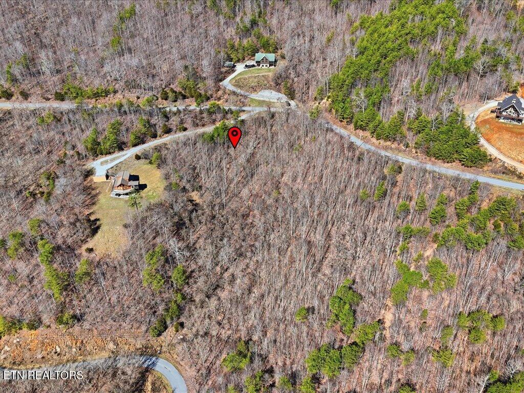 Norris Lake Real Estate - Image# 10