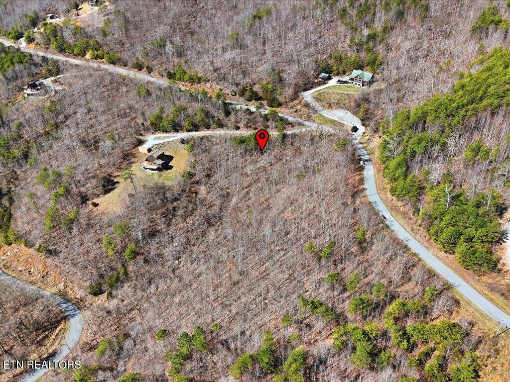 Norris Lake Real Estate - Image# 11