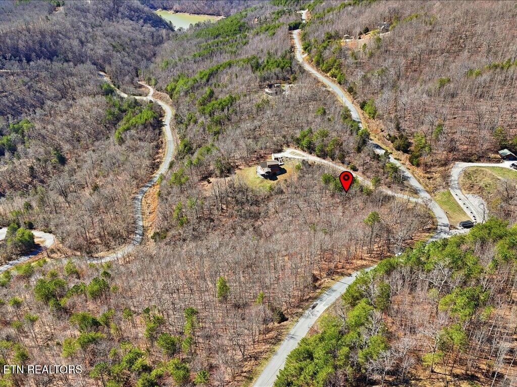 Norris Lake Real Estate - Image# 12