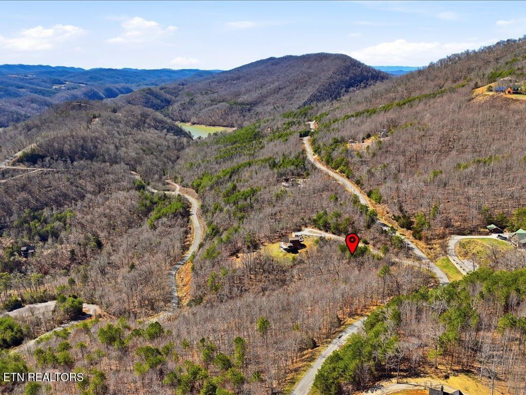 Norris Lake Real Estate - Image# 13