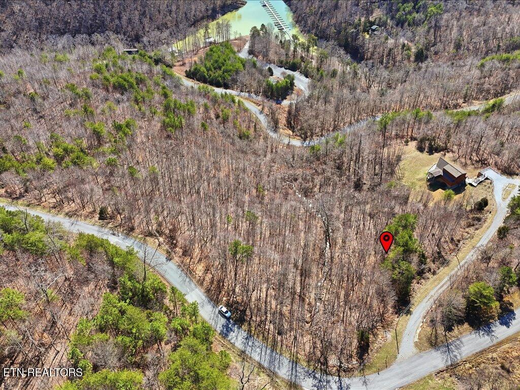 Norris Lake Real Estate - Image# 16