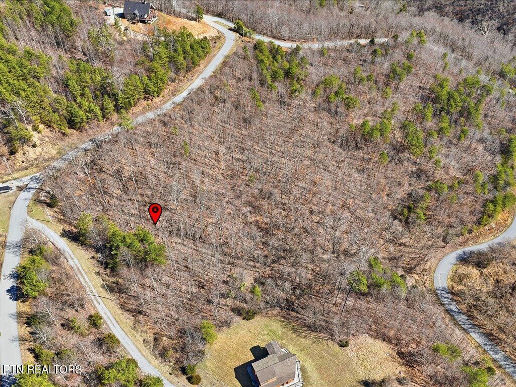 Norris Lake Real Estate - Image# 20