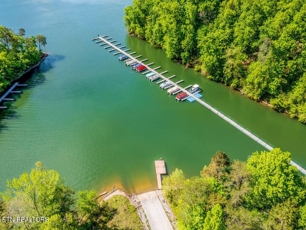 Norris Lake Real Estate - Image# 26