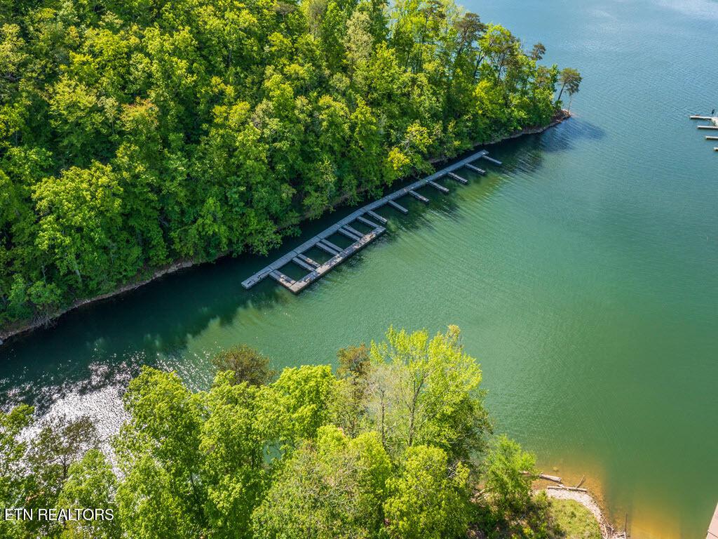 Norris Lake Real Estate - Image# 27