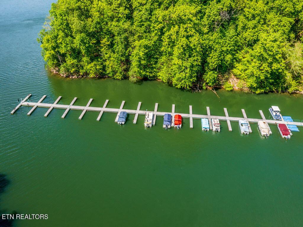 Norris Lake Real Estate - Image# 29