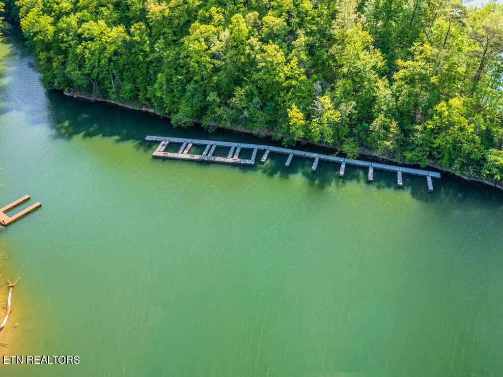 Norris Lake Real Estate - Image# 30